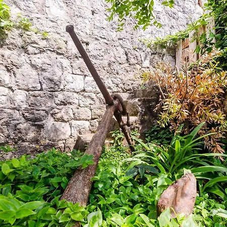 Daire Little - Studio With Terrace Dubrovnik